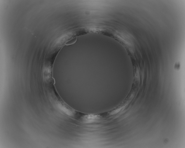 X0000092290526200709141302