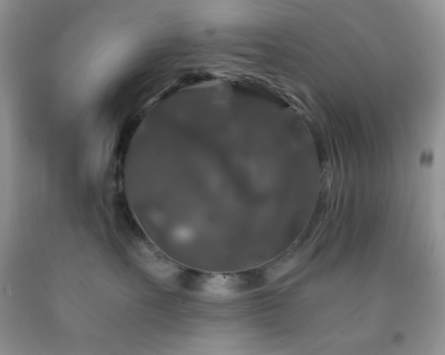 X0000092290527200709141302