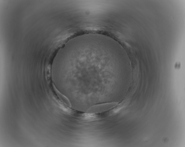 X0000092290528200709141302