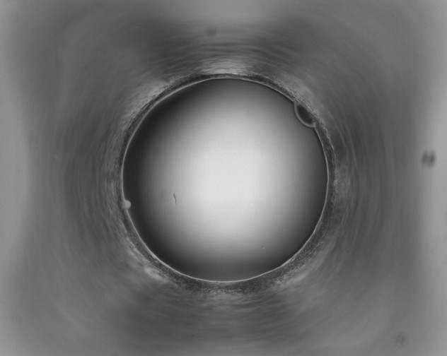 X0000092290529200709141301