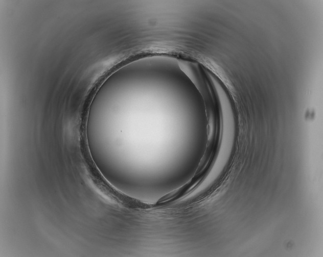 X0000092290530200709141301