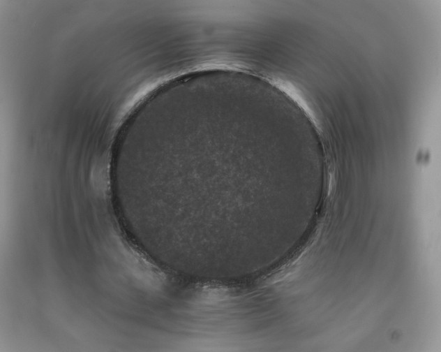 X0000092290531200709141301