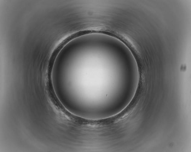 X0000092290532200709141301