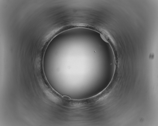 X0000092290533200709141301