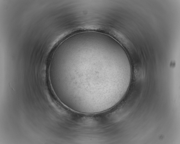 X0000092290534200709141301