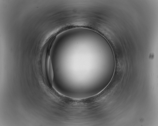 X0000092290535200709141301