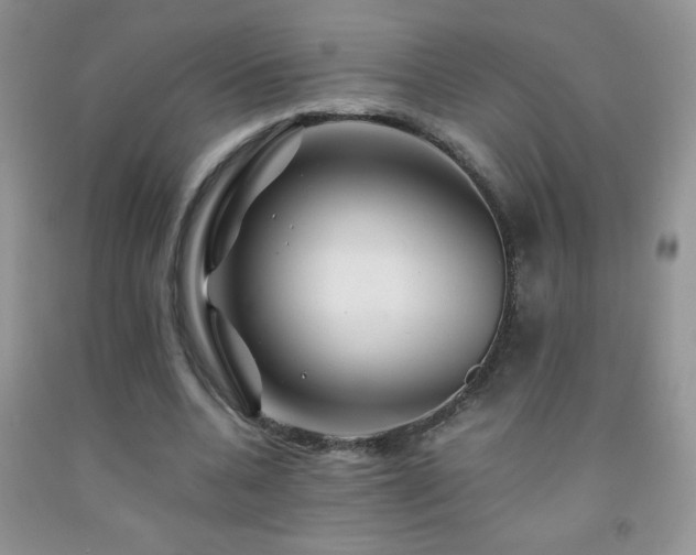 X0000092290536200709141301