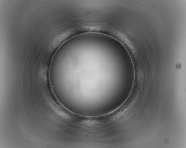 X0000092290537200709141301