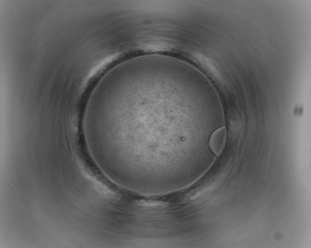 X0000092290539200709141301