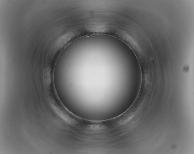 X0000092290541200709141301