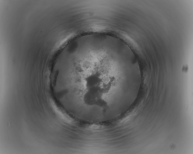 X0000092290542200709141301