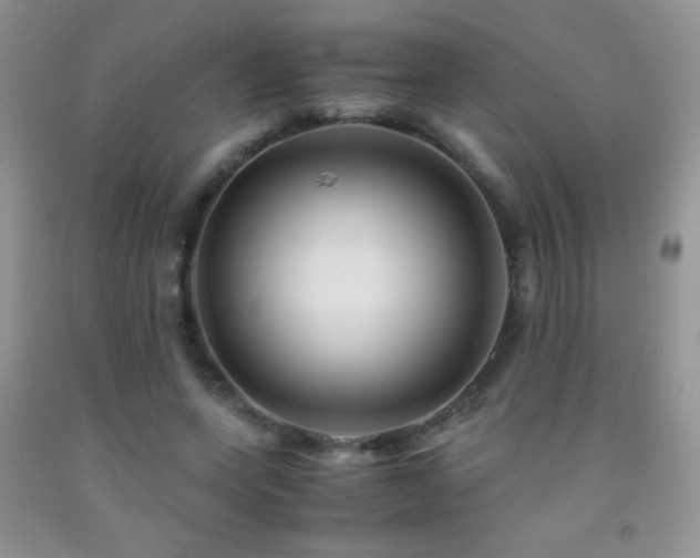 X0000092290543200709141301