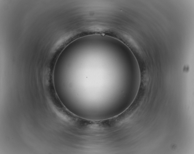 X0000092290544200709141301