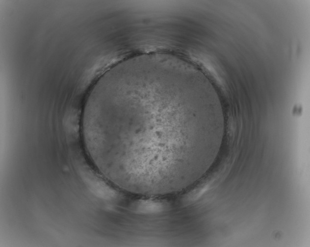 X0000092290545200709141301