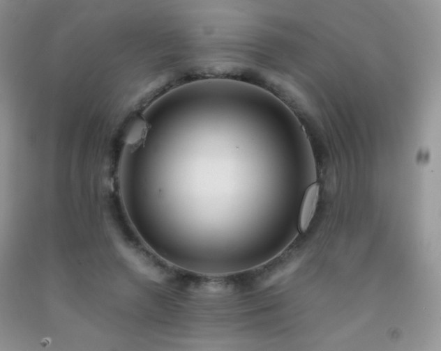 X0000092290546200709141301