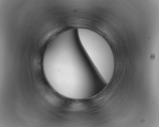 X0000092290547200709141301