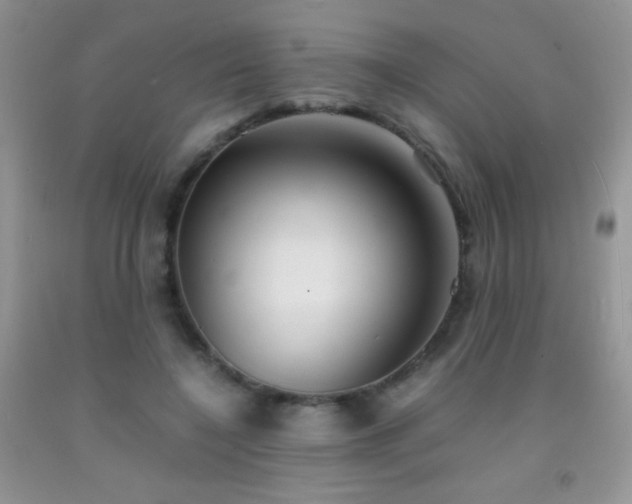 X0000092290548200709141301