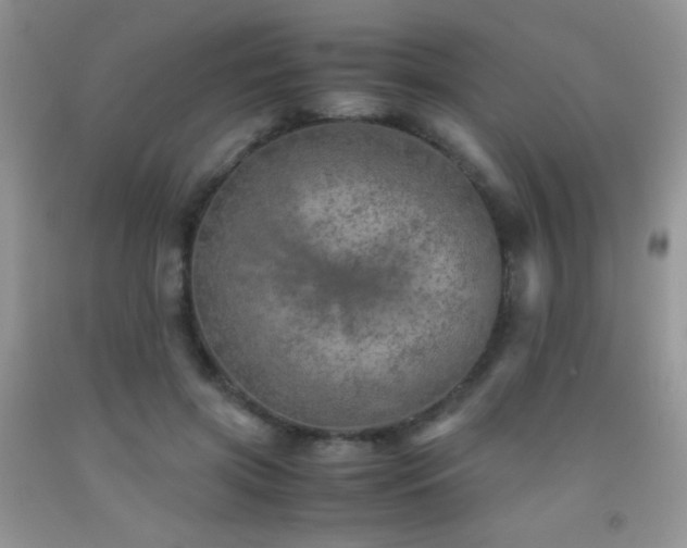 X0000092290549200709141301