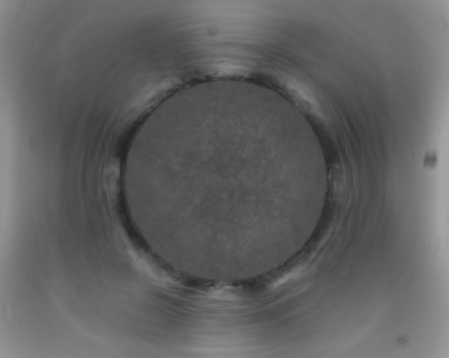 X0000092290550200709141301