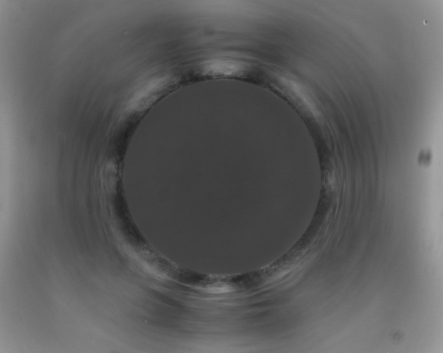 X0000092290551200709141301