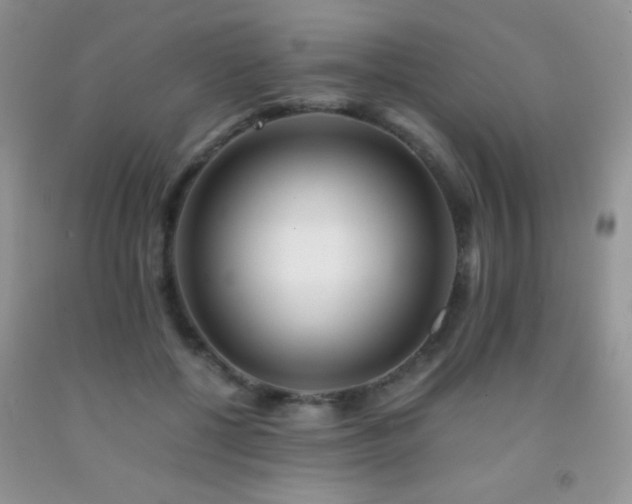 X0000092290552200709141301