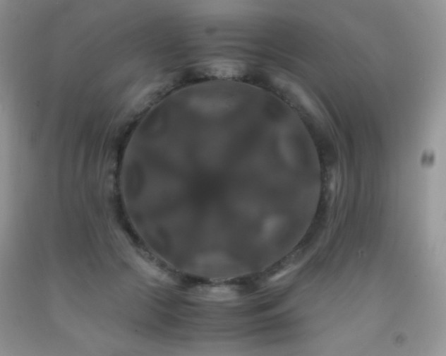 X0000092290553200709141301