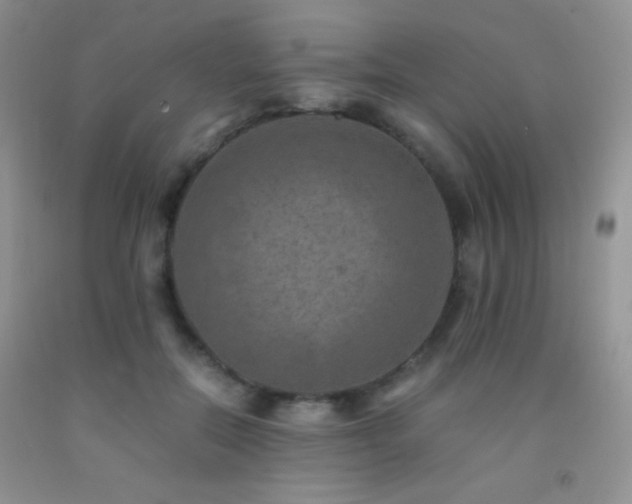 X0000092290554200709141301