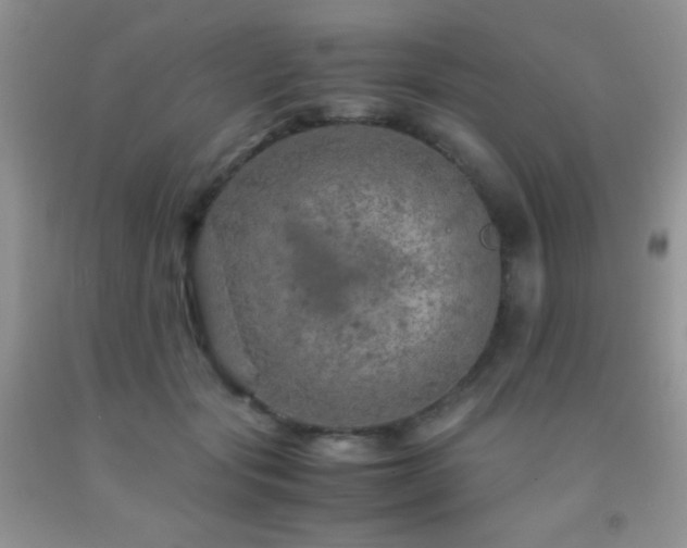 X0000092290557200709141301