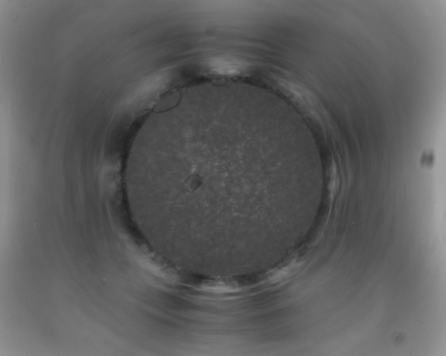 X0000092290559200709141302