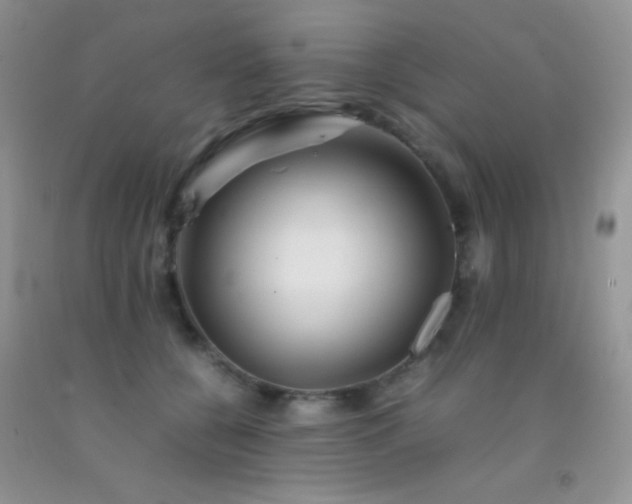 X0000092290560200709141302