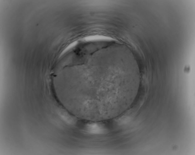 X0000092290561200709141302