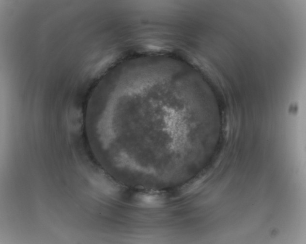 X0000092290563200709141302