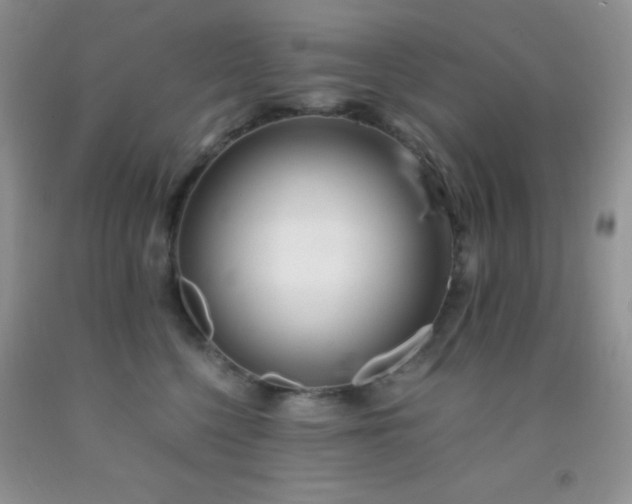 X0000092290568200709141302