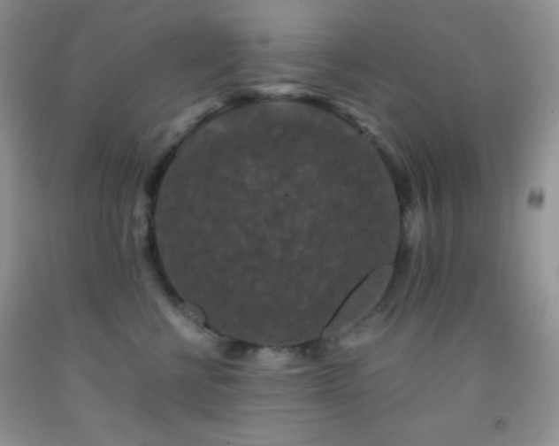 X0000092290570200709141302