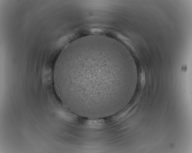 X0000092290571200709141302