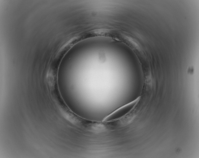 X0000092290572200709141302