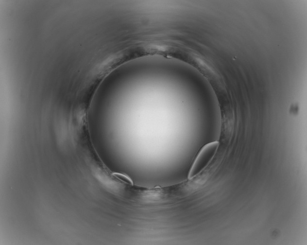 X0000092290574200709141302