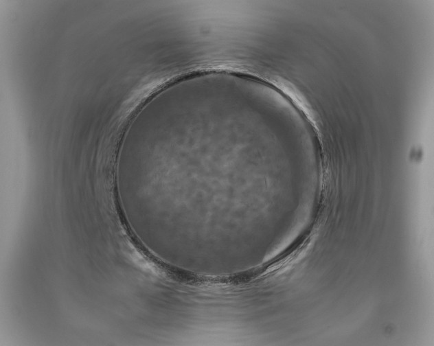 X0000092290577200709141301