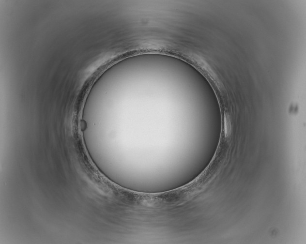 X0000092290579200709141301