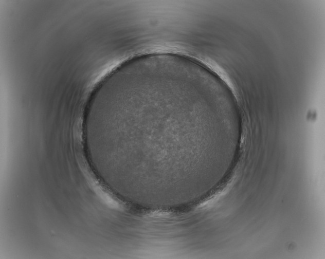 X0000092290581200709141301