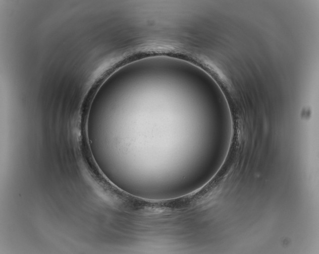 X0000092290582200709141301