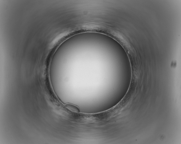 X0000092290583200709141301