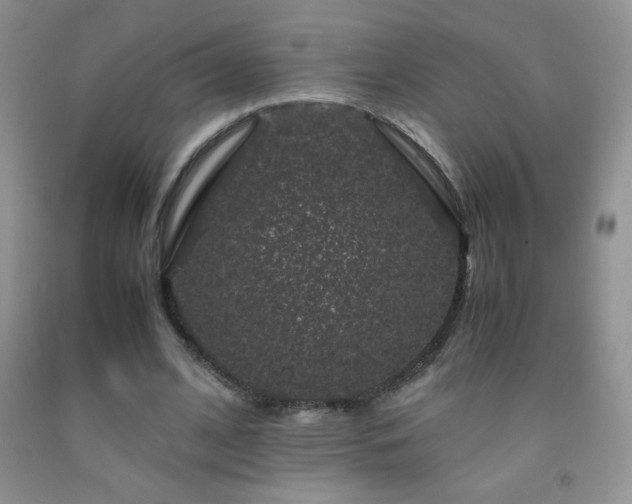 X0000092290584200709141301