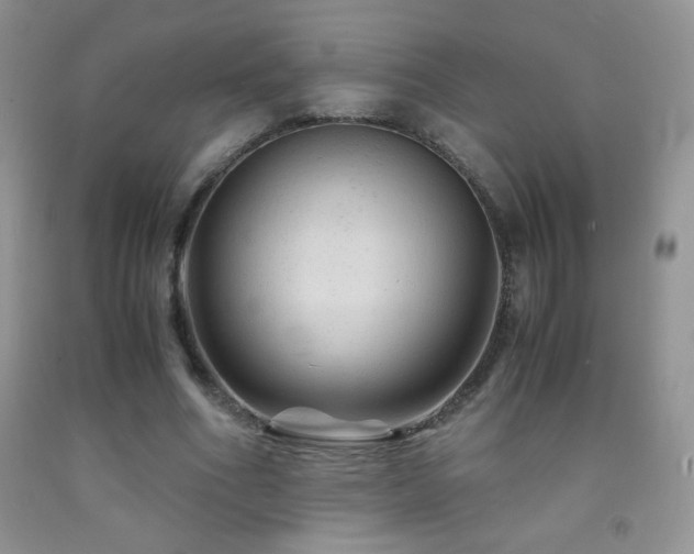 X0000092290586200709141301