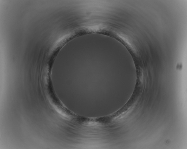 X0000092290590200709141301