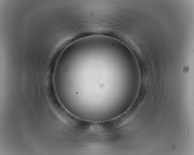 X0000092290591200709141301