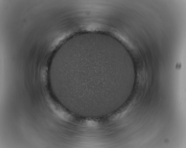 X0000092290592200709141301