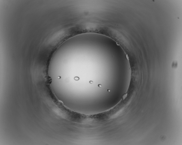 X0000092290593200709141301