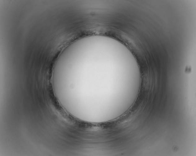 X0000092290594200709141301