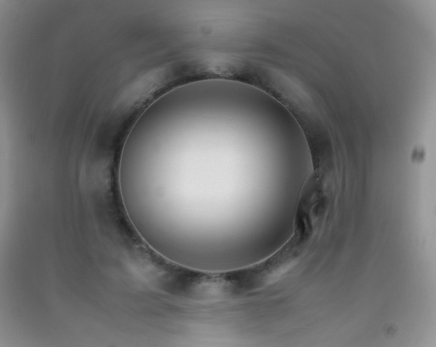 X0000092290595200709141301